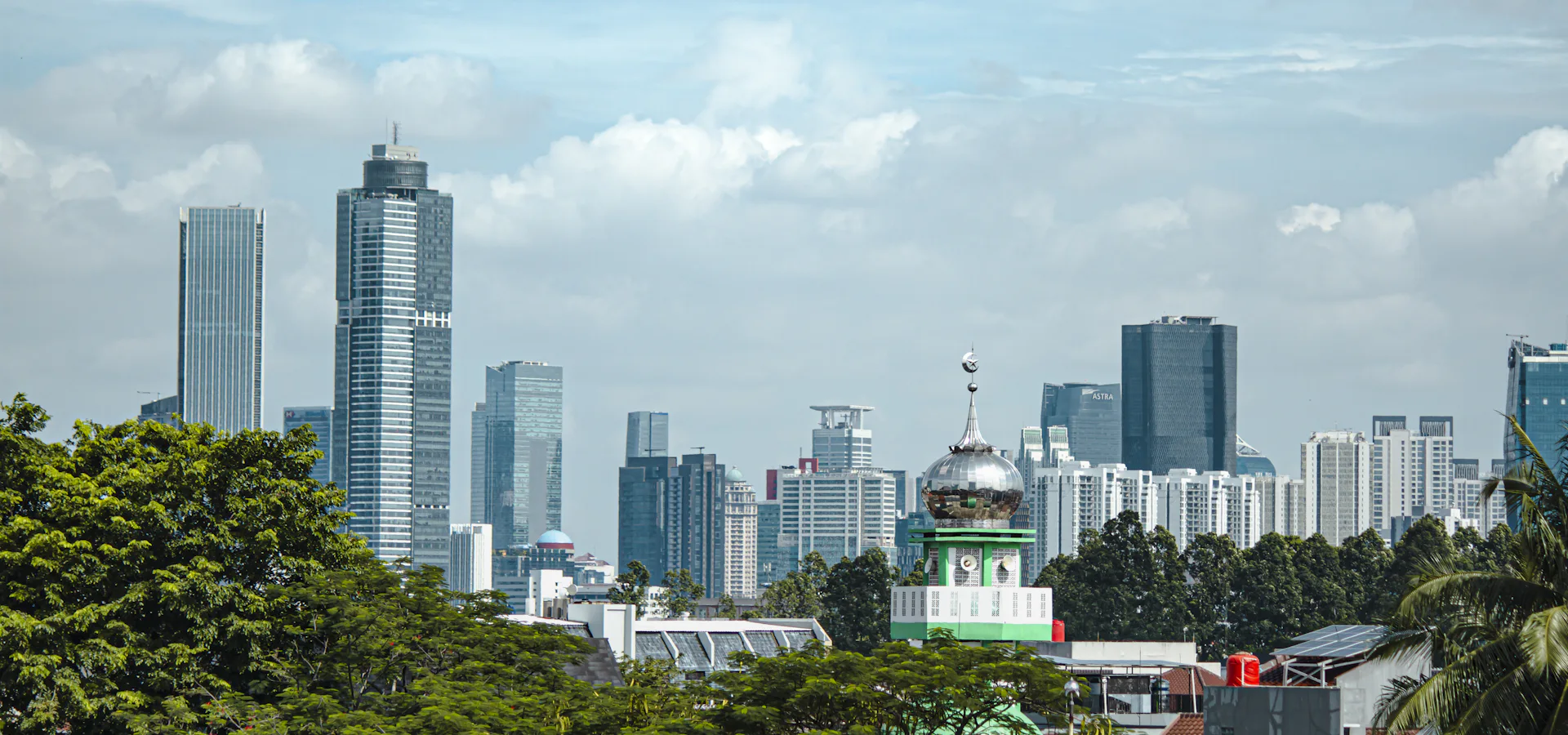 Company Setup and Licensing